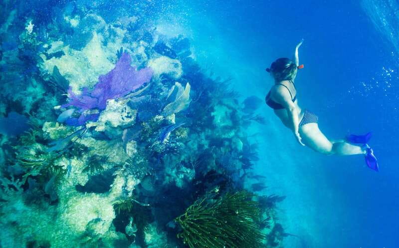 Mahahual: Snorkel Tour in Reef Lagoon - Getting fitted for gear and learning the reef rules