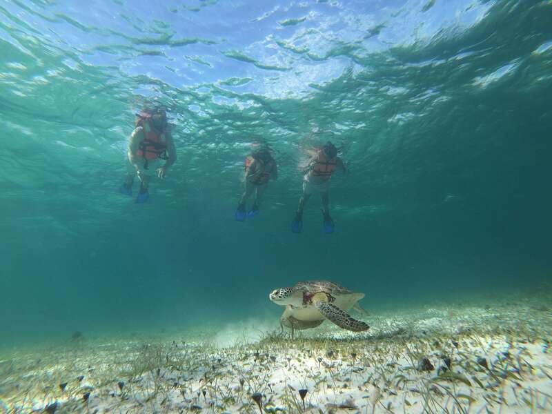 Mahahual: Snorkel Tour in Reef Lagoon - What is included, and what is not