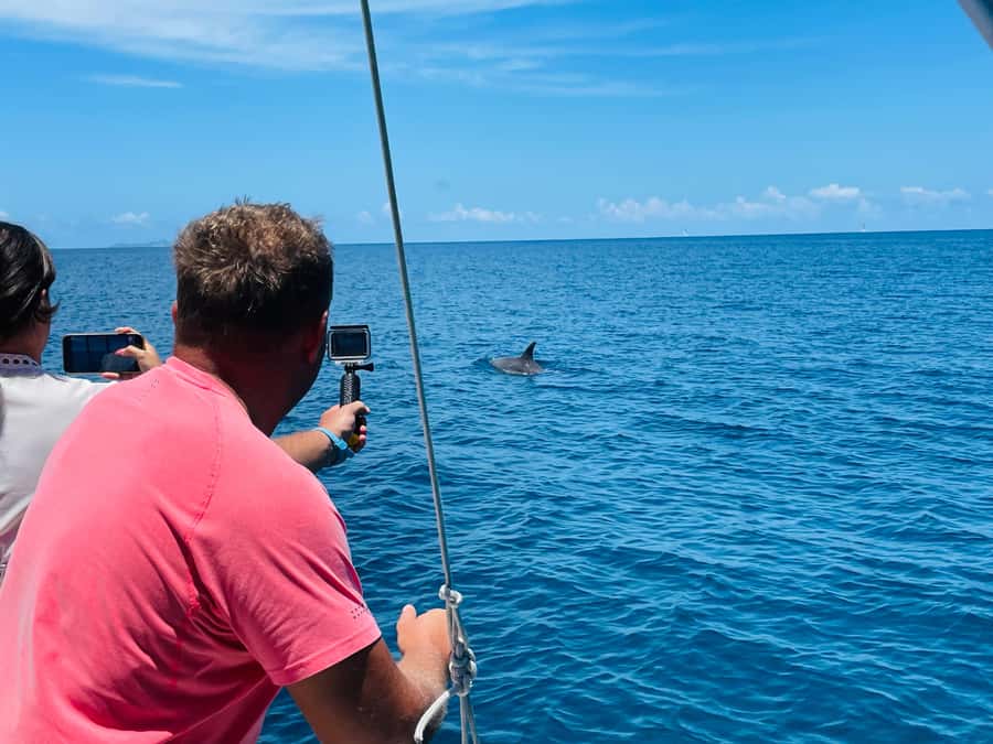 Mahe Island: St. Anne Marine Park Snorkeling Trip - Gigi and the value of a small boat