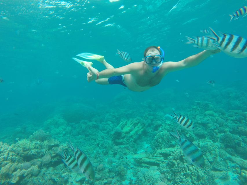 Makadi Bay: Snorkelling and Diving Island Trip - Snorkeling with equipment and guidance