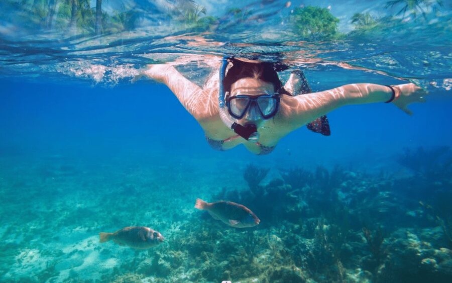 Makarska: Sea kayaking & snorkeling adventure - MPL Nautika - Should you book it?