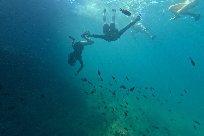 Mallorca: Kayaking, Sea Cave, Cliff Jumping & Snorkel Tour - A simple picnic after the activity