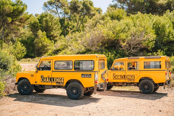 Mallorca: Kayaking, Sea Cave, Cliff Jumping & Snorkel Tour - Kayaking along the northern coast