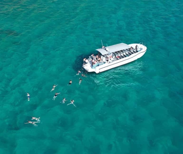 Mallorca Marine reserve: Visit caves, cliffs and snorkeling - Key points to know before booking