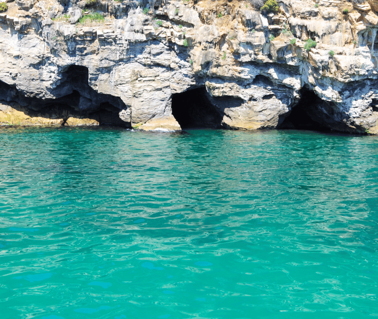 Mallorca Marine reserve: Visit caves, cliffs and snorkeling - Why this boat trip is a good way to see Mallorca