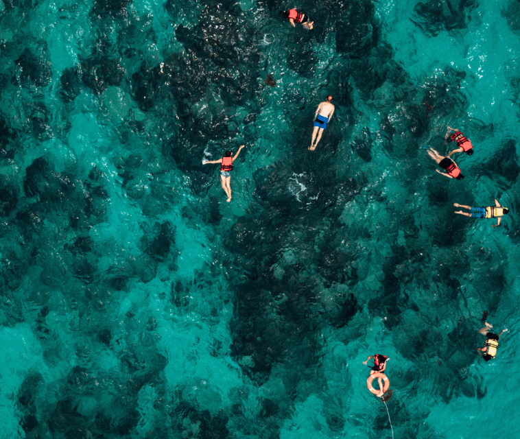 Mallorca Marine reserve: Visit caves, cliffs and snorkeling - Cala Vella: the second swimming stop