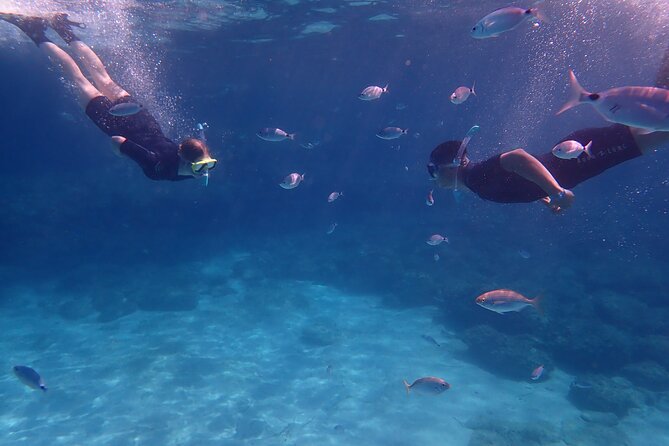 Mallorca: Snorkeling in a Beautiful Nature Reserve - Key points to know before booking