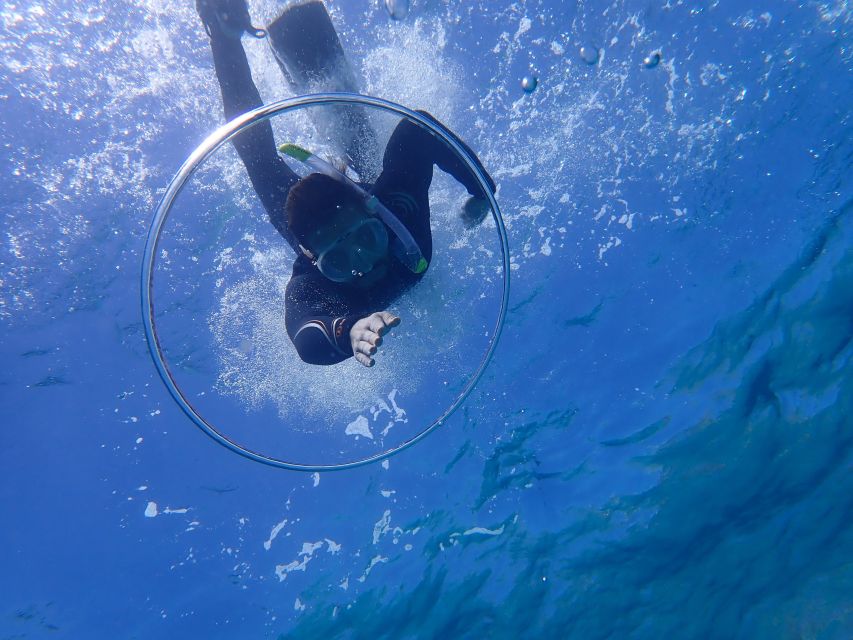 Mallorca: Snorkeling in a Beautiful Nature Reserve - What the $82 price really includes