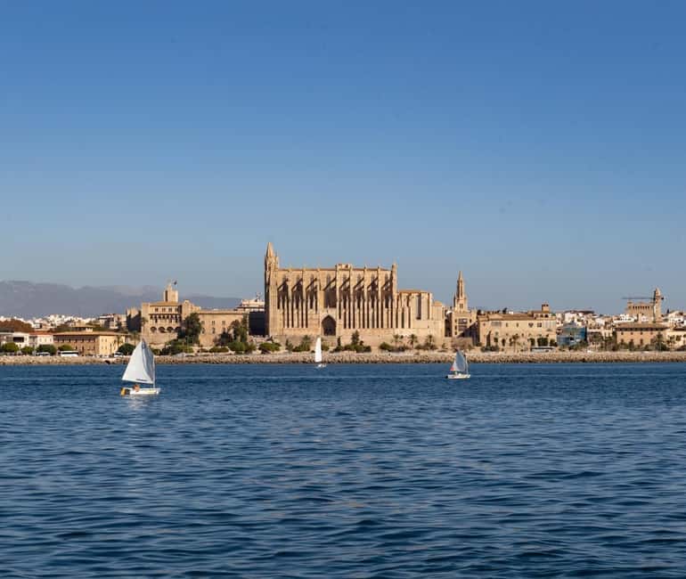 Mallorca: Visit Palma Speedboat adrenaline & snorkelling - Key points to know before you book