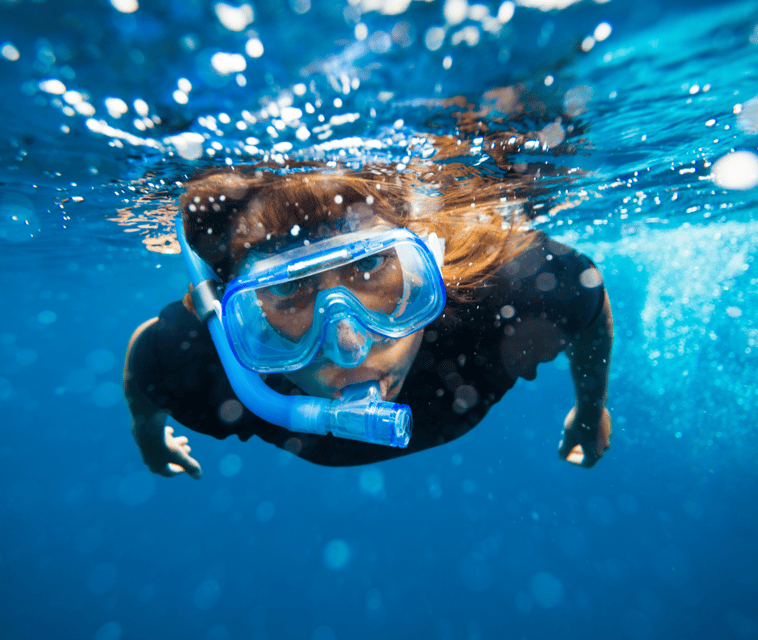 Mallorca: Visit Palma Speedboat adrenaline & snorkelling - Small practical tips for a better ride