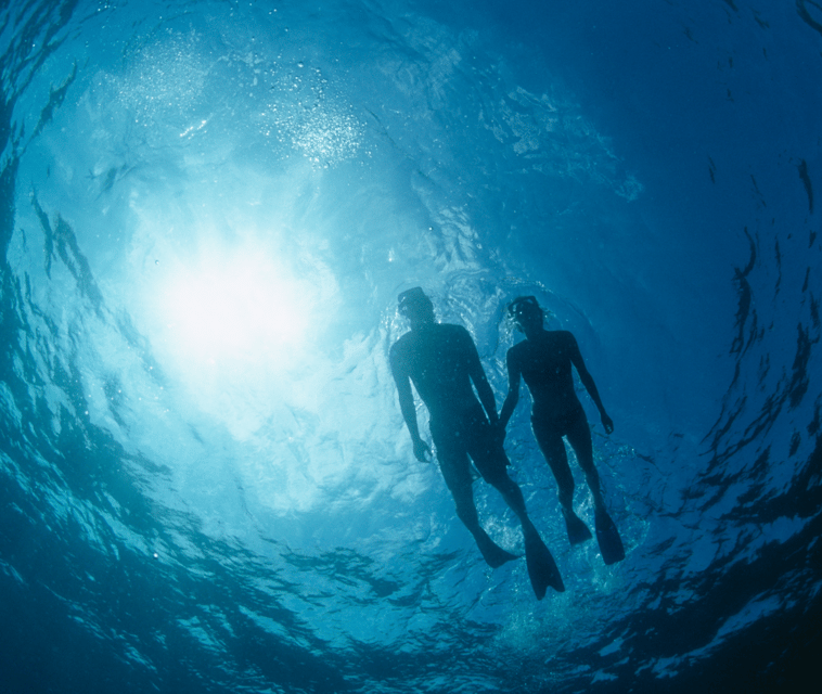 Mallorca: Visit Palma Speedboat adrenaline & snorkelling - Palma Cathedral from a sea-level viewpoint