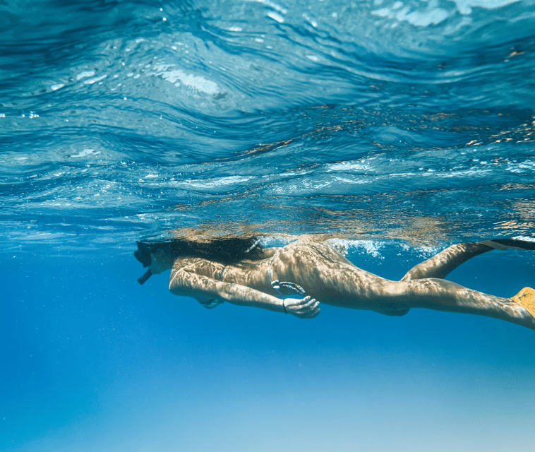 Mallorca: Visit Palma Speedboat adrenaline & snorkelling - What the $53 price really covers