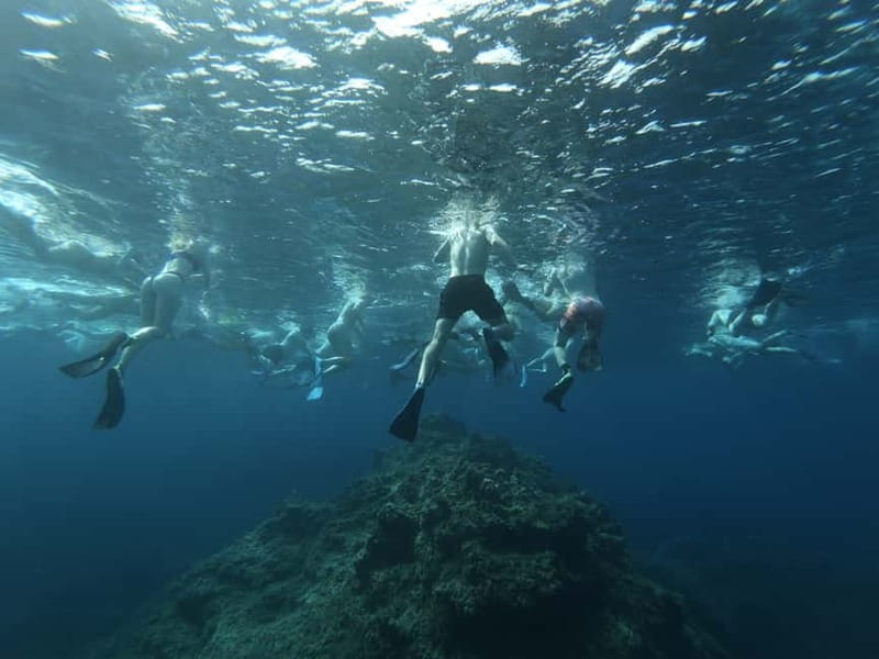 Malta: Snorkeling Tour - Why the guides matter for first-timers
