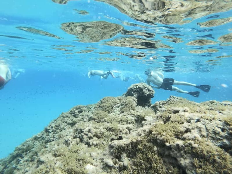 Malta: Snorkeling Tour - What you may see below Malta’s surface