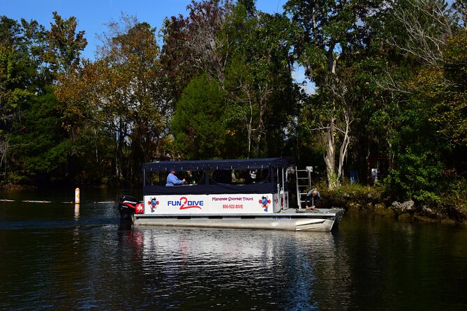 Manatee Snorkel Small Group Tour - Key points to know before booking
