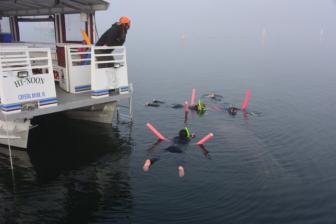 Manatee Snorkel Small Group Tour - Is $95 a fair price?