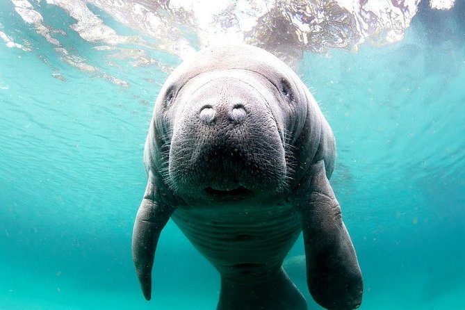 Manatee Snorkel Small Group Tour - The boat ride to the wildlife refuge