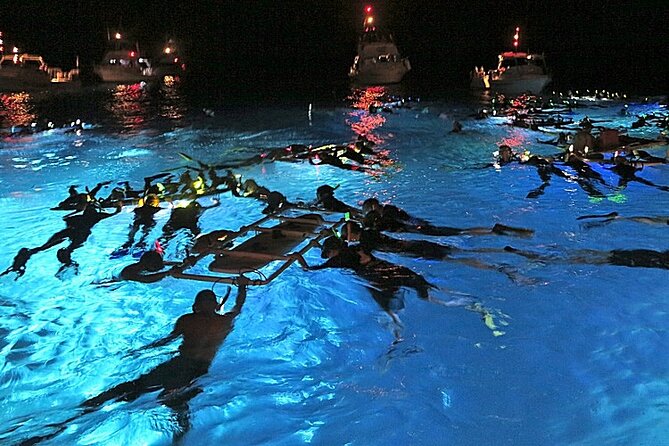 Manta Magic: Small-Group Manta Ray Night Snorkel in Kailua Kona - Key points before you book