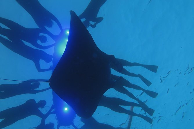 Manta Magic: Small-Group Manta Ray Night Snorkel in Kailua Kona - Equipment, warmth, and comfort