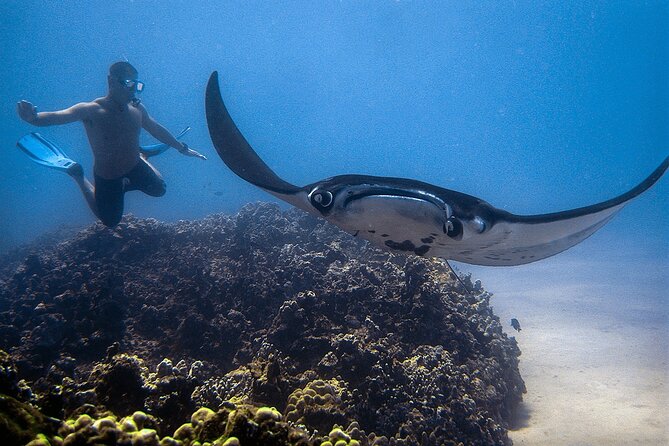 Manta Magic: Small-Group Manta Ray Night Snorkel in Kailua Kona - Who should book this Kona night snorkel?