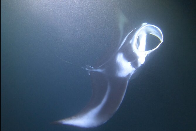 Manta Ray Night Snorkel at Kona, Big Island - The Boat Ride to Keauhou Bay’s Manta Area