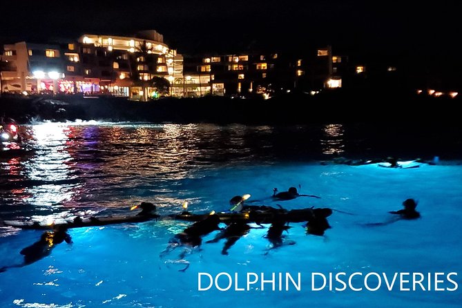 Manta Ray Night Snorkel at Kona, Big Island - What the $44 Price Really Buys You