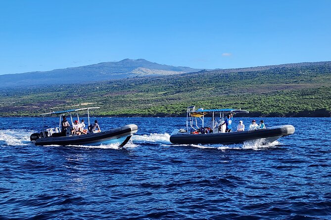 Manta Ray Night Snorkel at Kona, Big Island - Who Should Book, and Who Should Think Twice