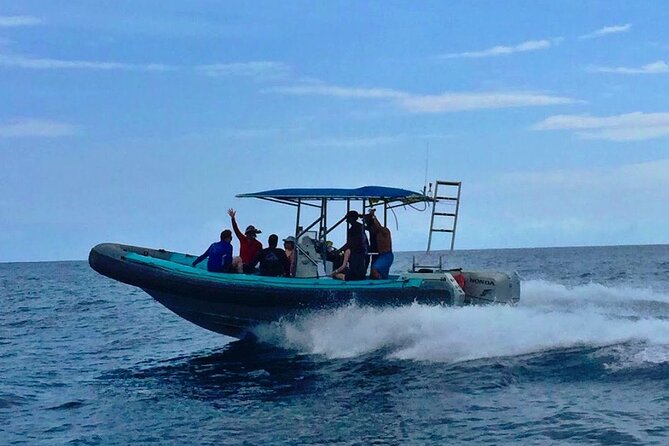 Manta Ray Night Snorkel at Kona, Big Island - Weather, Seasickness, and the Wild-Animal Factor