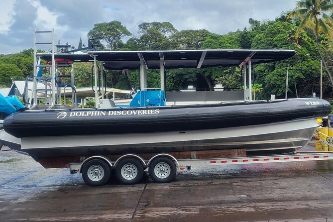 Manta Ray Night Snorkel at Kona, Big Island - Check-In at Ali‘i Drive and the One-Hour Timing Trap