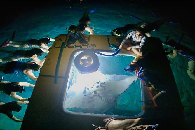 Manta Ray Night Snorkel from Kona — Small Group - Why the Kona manta ray snorkel is so special