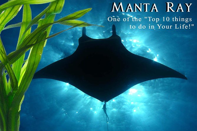 Manta Ray Night Snorkel from Kona — Small Group - The ride toward Garden Eel Cove or Manta Heaven