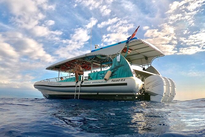 Manta Ray Night Snorkel from Kona — Small Group - Gear, snacks, and what you should bring