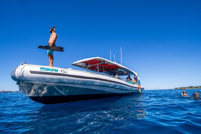 Manta Ray Night Snorkel from Kona — Small Group - Price, timing, and cancellation flexibility