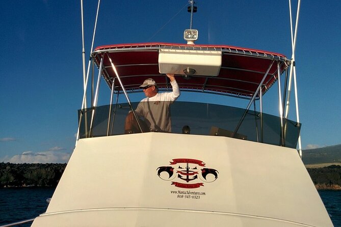 Manta Ray Night Snorkel in Kona - What the night snorkel feels like in practice