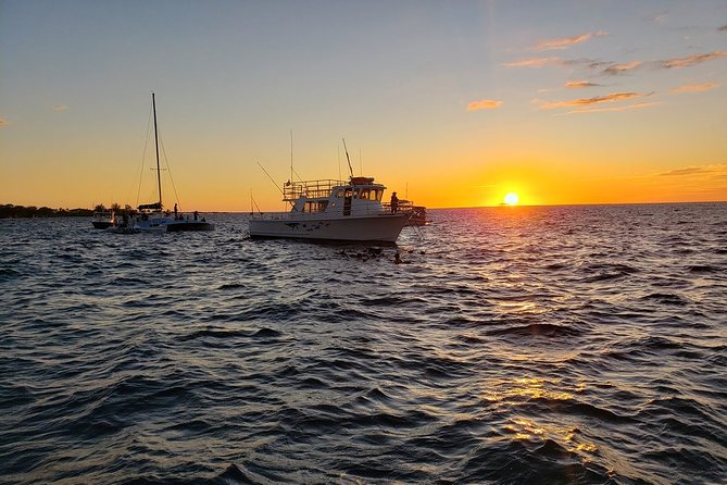 Manta Ray Night Snorkel in Kona - Who should book this Kona manta tour?