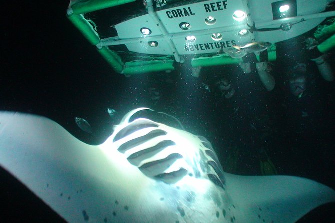 Manta Ray Night Snorkel Kona - Coral Reef Snorkel Adventures - Meeting at Honokohau Small Boat Harbor
