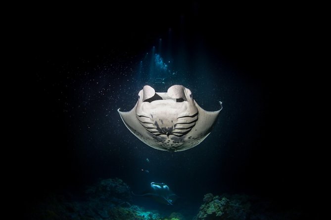 Manta Ray Night Snorkel Tour from Kona - Soup, bread, and a warm return