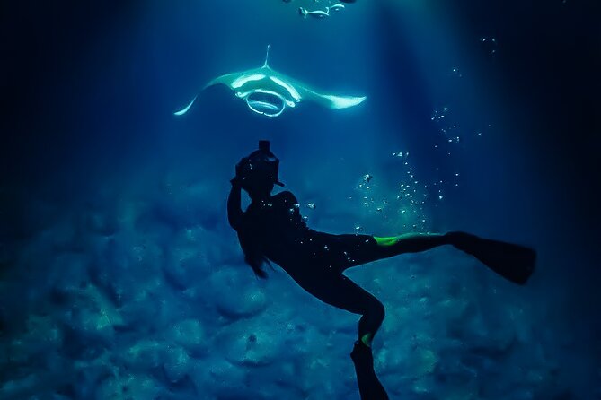 Manta Ray Night Snorkel Tour in Kailua-Kona, Big Island - What the manta viewing is really like
