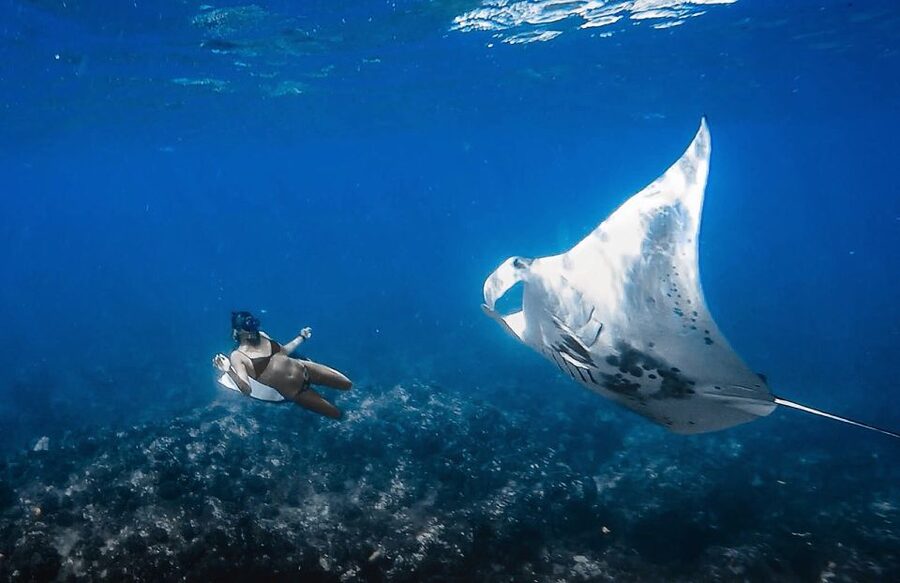 Manta Ray Snorkel in Kailua-Kona with Hot Cocoa - Setting out from Honokohau Harbor