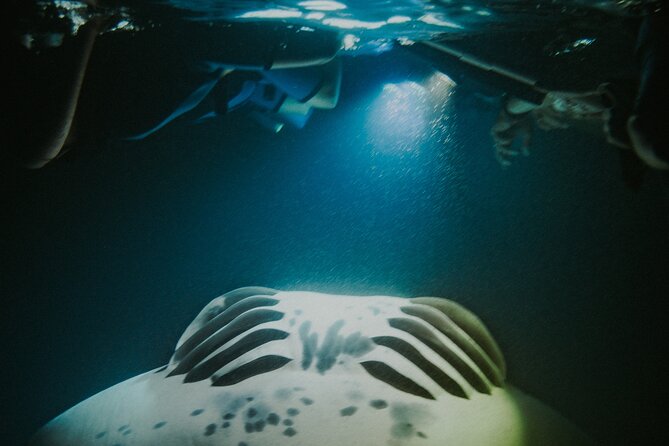 Manta Ray Snorkeling by Night in Kailua-Kona, Hawaii - How long you really spend in the water
