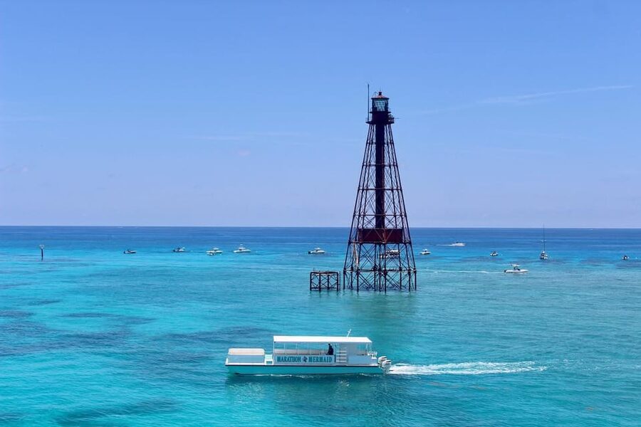 Marathon: Snorkeling Adventure by Boat at Sombrero Reef - Marine life, from barracudas to turtles