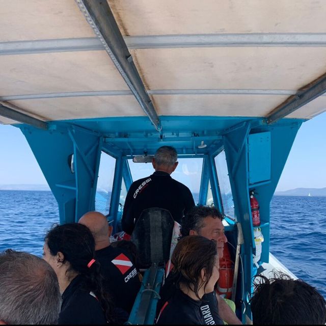 Maremma: Sea's Treasures - Tour and snorkelling on a dinghy - Key points to know before booking