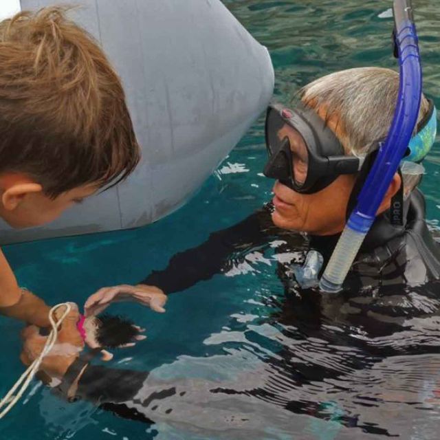 Maremma: Sea's Treasures - Tour and snorkelling on a dinghy - What the experience feels like in practice