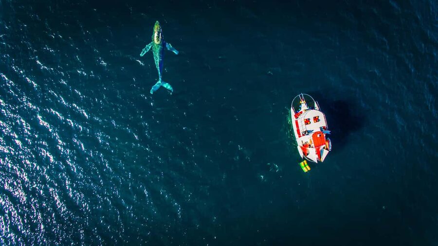 Marietas Islands Boat Tour: Snorkel, Kayak, Playa Nopalera - What the $131 price really buys you