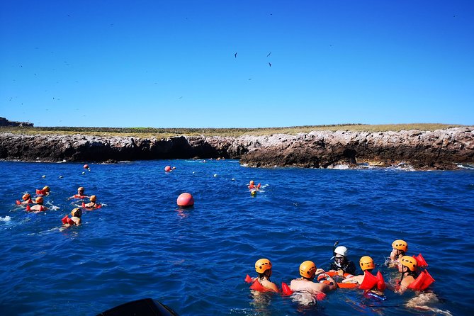 Marietas Islands Snorkel Tour & Hidden Beach - Why the Marietas Islands make a good half-day trip