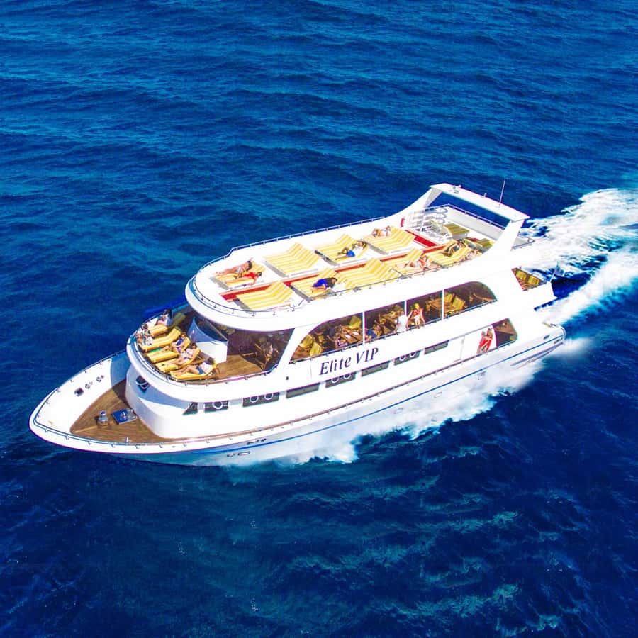 Marsa Alam: Elite vip Turtle bay snorkeling with BBQ Lunch - Marsa Mubarak and the first reef stop