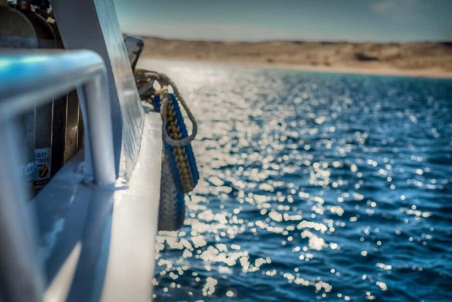 Marsa Alam:Sataya Reefs Dolphin Snorkeling Cruise with Lunch - What the $90 price really buys