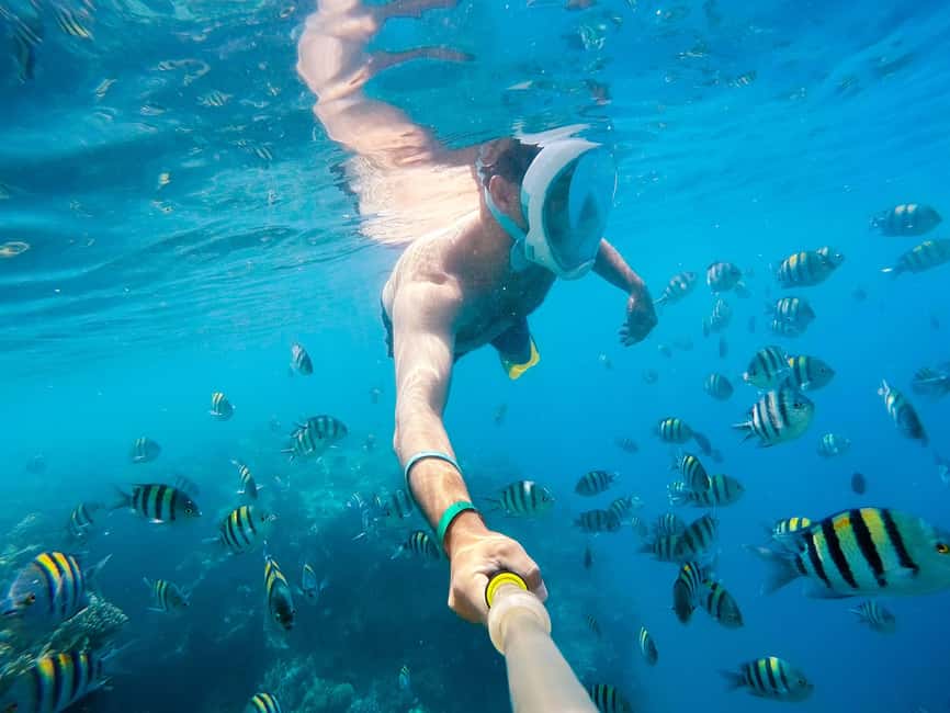 Marsa Alam:Sataya Reefs Dolphin Snorkeling Cruise with Lunch - Leaving Marsa Alam by boat