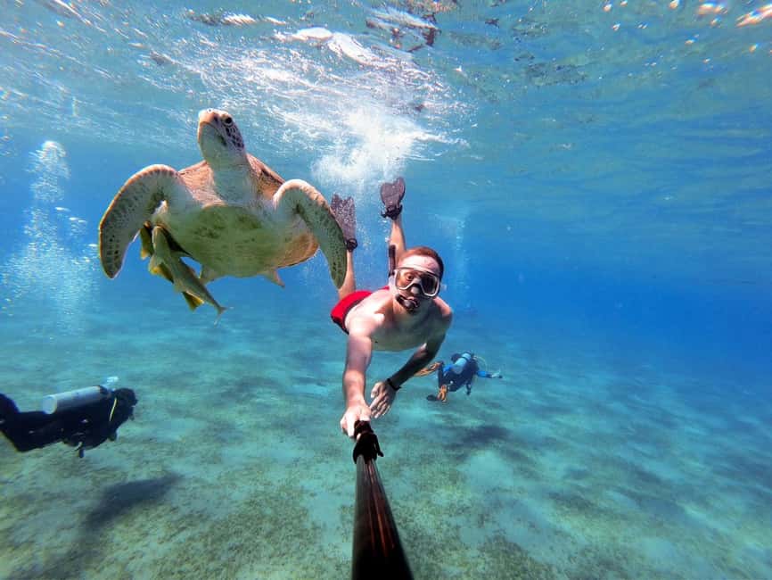 Marsa Alam: Snorkeling with Sea Turtles Marsa Mubarak - What the reef experience is really like