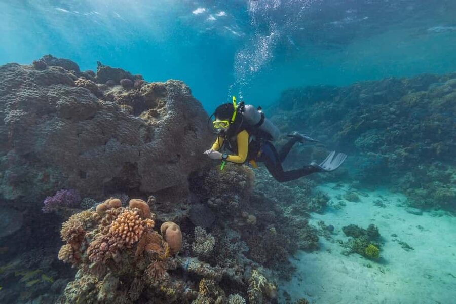 Marsa Alam: Snorkeling with Sea Turtles Marsa Mubarak - The crew, equipment, and group style